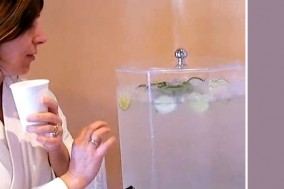 spa cucumber water recipe :: fairmont sonoma