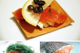 gravlax recipe by the gastronomist
