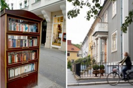 life in hanover on haus maus
