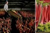Yorkshire Forced Rhubarb has a protected designation of original in EU Yorkshire Forced Rhubarb has a protected designation of original in EU