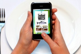 ocean-friendly eating habits made easy by the Seafood watch iphone app ocean-friendly eating habits made easy by the Seafood watch iphone app