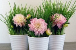 kitty grass centerpieces anne sage