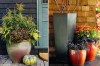 fall Halloween planters for your front door