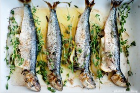 broiled sardines with lemon and thyme broiled sardines with lemon and thyme