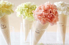 carnation cones carnation cones