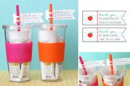 teacher gift lemonade drink flags kids craft
