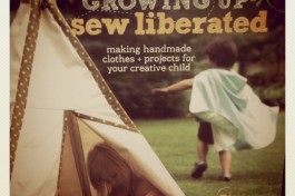 diybook_indigo