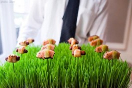 salmon pork and hot dog canapes