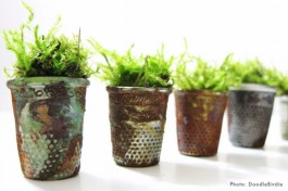 etsy mini thimble planter diy