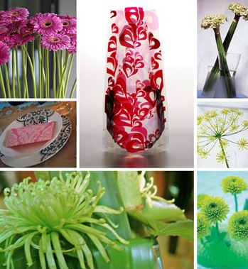 mother's day centerpieces :: vazu ter off top expandable flower vase :: gerbera dill chrysanth :: tryflowers.org.uk