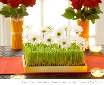 pushing daisies floral centerpiece