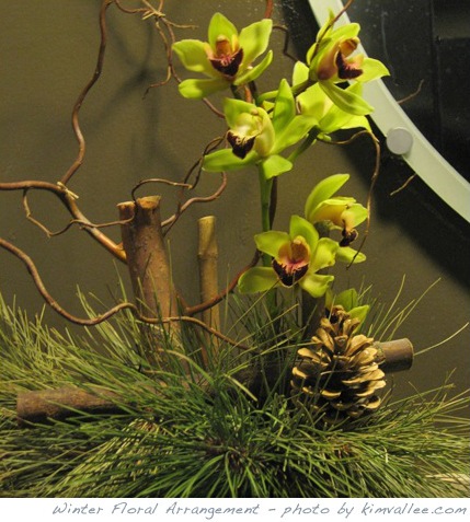 pine branches and orchid flowers ::winter floral arrangement