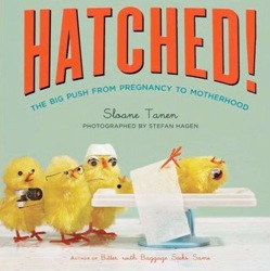 Hatched!: The Big Push from Pregnancy to Motherhood by Sloane Tanen