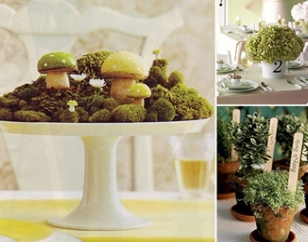 moss centerpiece for dinner party