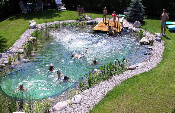 swimpond's chemical free swimming pond