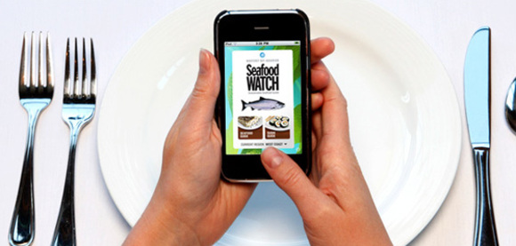 ocean-friendly eating habits made easy by the Seafood watch iphone app