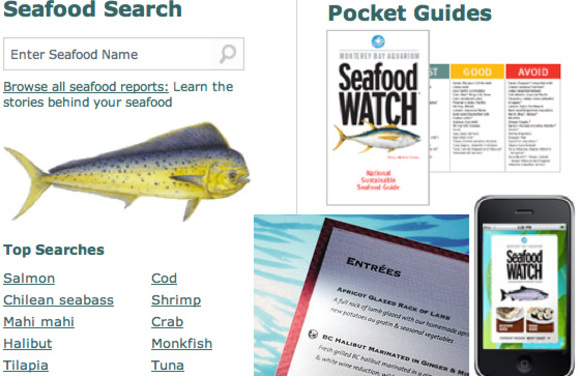 seafood watch tools and ocean wise conservation program