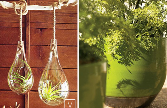 hanging terrariums :: outdoor planters