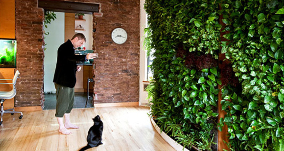400 plants in a vertical garden in Manhattan photographed by trevor tondro for the ny times