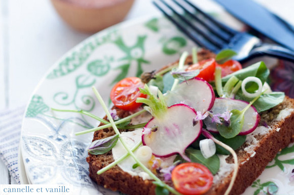 healthy gluten-free sandwich with fresh garden vegetables - photo by cannelle et vanille