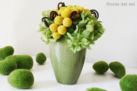 flores del sol moss and dried floral arrangements :: Craspedia and fiddle heads 