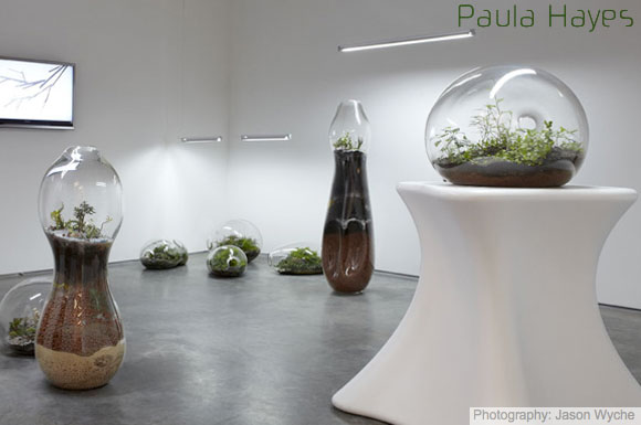 paula hayes\' terrarium exhibit at marianne boesky gallery