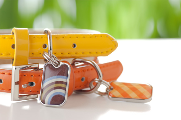 blanket ID tags for dogs and cats