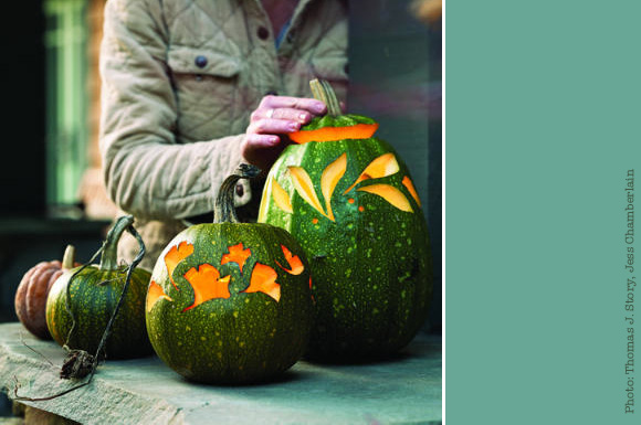 leafy carved pumpkins by sunset magazine