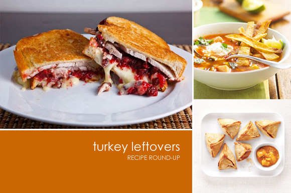 Turkey Leftover recipes