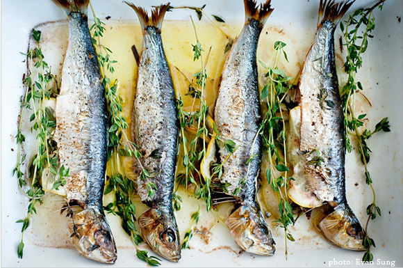 broiled sardines with lemon and thyme
