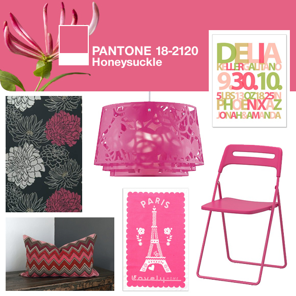 Pantone 2011 Color of the year Mood Board