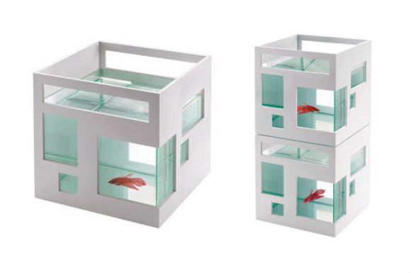 umbra fish bowl aquarium condo design